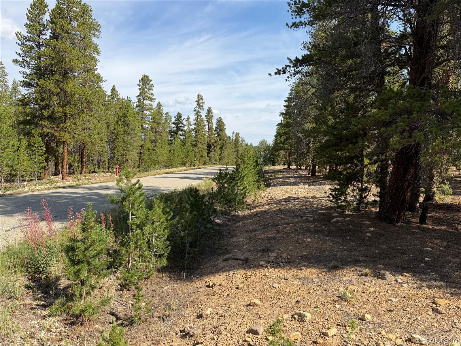 1st image of 1796 Autumn Dr, Leadville, CO 80461 | MLS# 9841148
