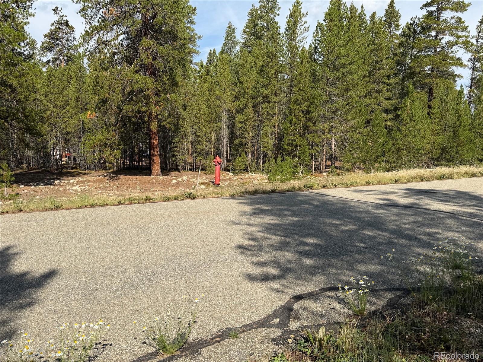 5th image of 1796 Autumn Dr, Leadville, CO 80461 | MLS# 9841148