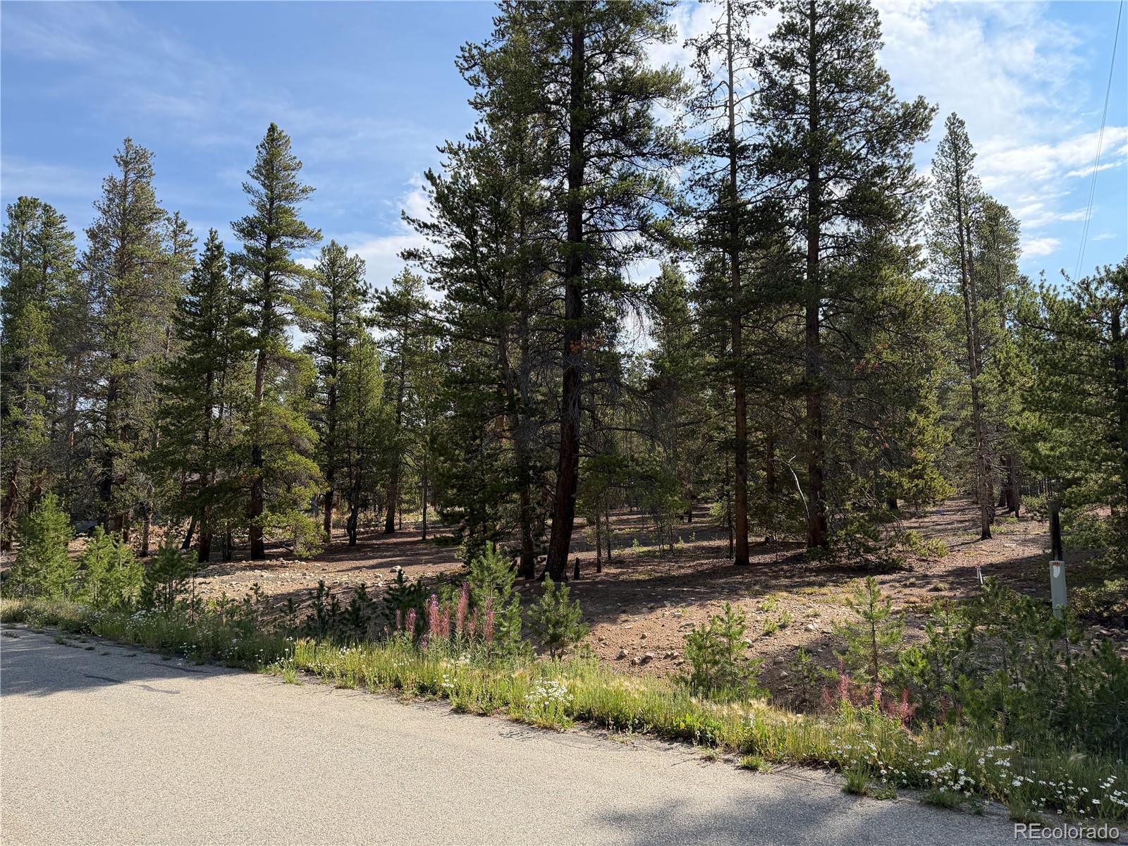2nd image of 1796 Autumn Dr, Leadville, CO 80461 | MLS# 9841148