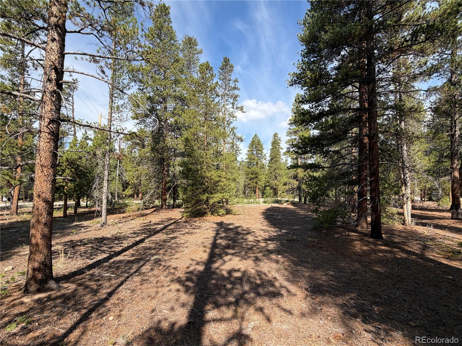 9th image of 1796 Autumn Dr, Leadville, CO 80461 | MLS# 9841148