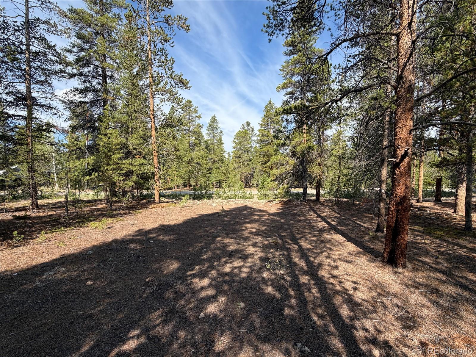 3rd image of 1796 Autumn Dr, Leadville, CO 80461 | MLS# 9841148