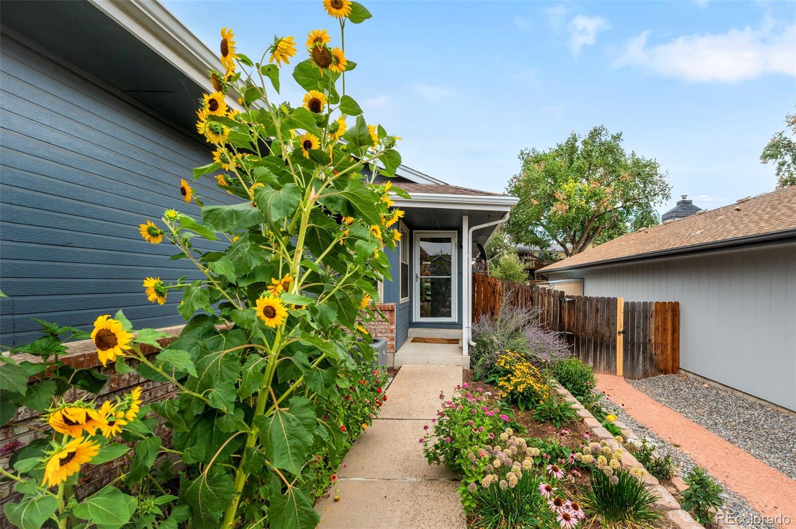 Photo 4 of Single family home for sale at 7150 Routt St, Arvada, CO 80004 | MLS# 3307185 | Listing updated on 2026-09-02
