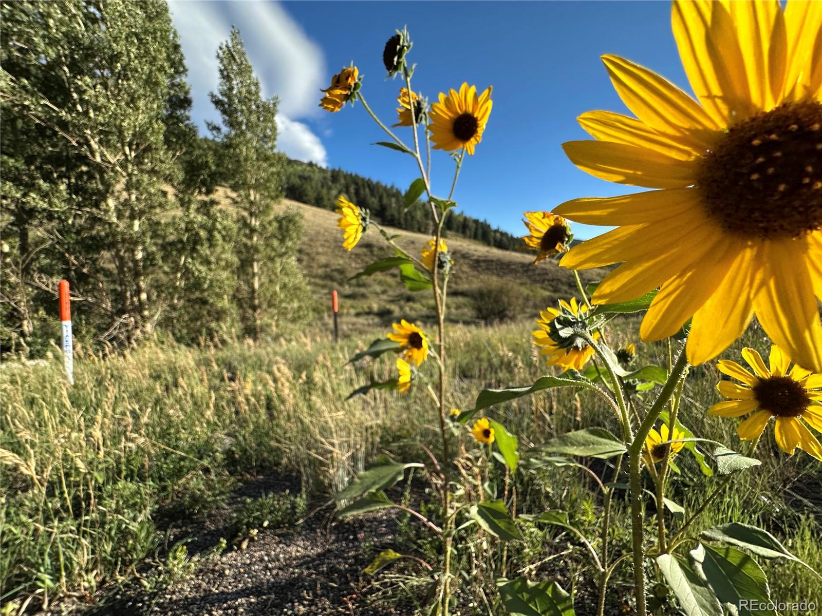 Photo 4 of Land for sale at 00 Highway 160, Fort Garland, CO 81133 | MLS# 6205667 | Listing updated on 2026-09-02
