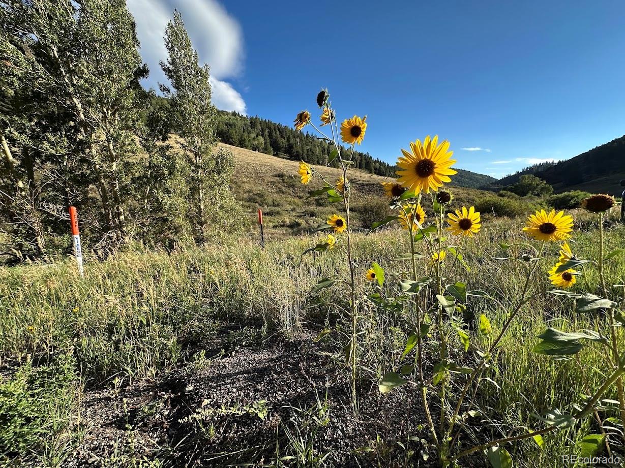 Photo 16 of Land for sale at 00 Highway 160, Fort Garland, CO 81133 | MLS# 6205667 | Listing updated on 2026-09-02
