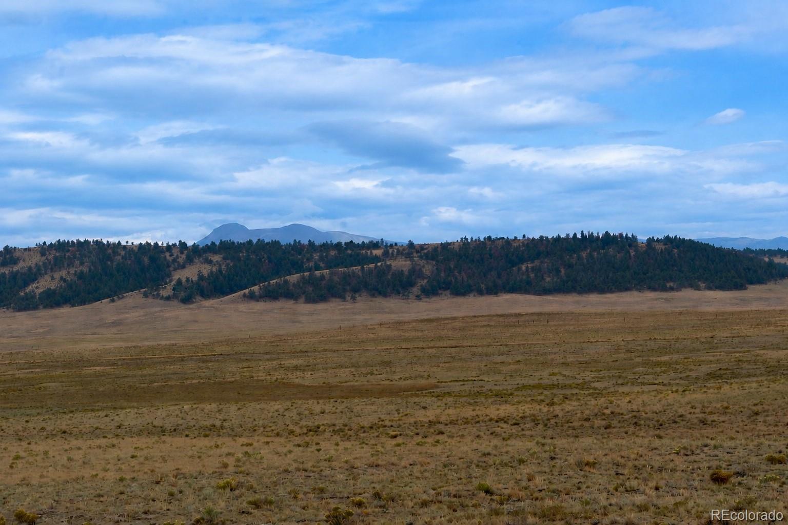 4th image of 4318 Cimarron Dr, Hartsel, CO 80449 | MLS# 5162689