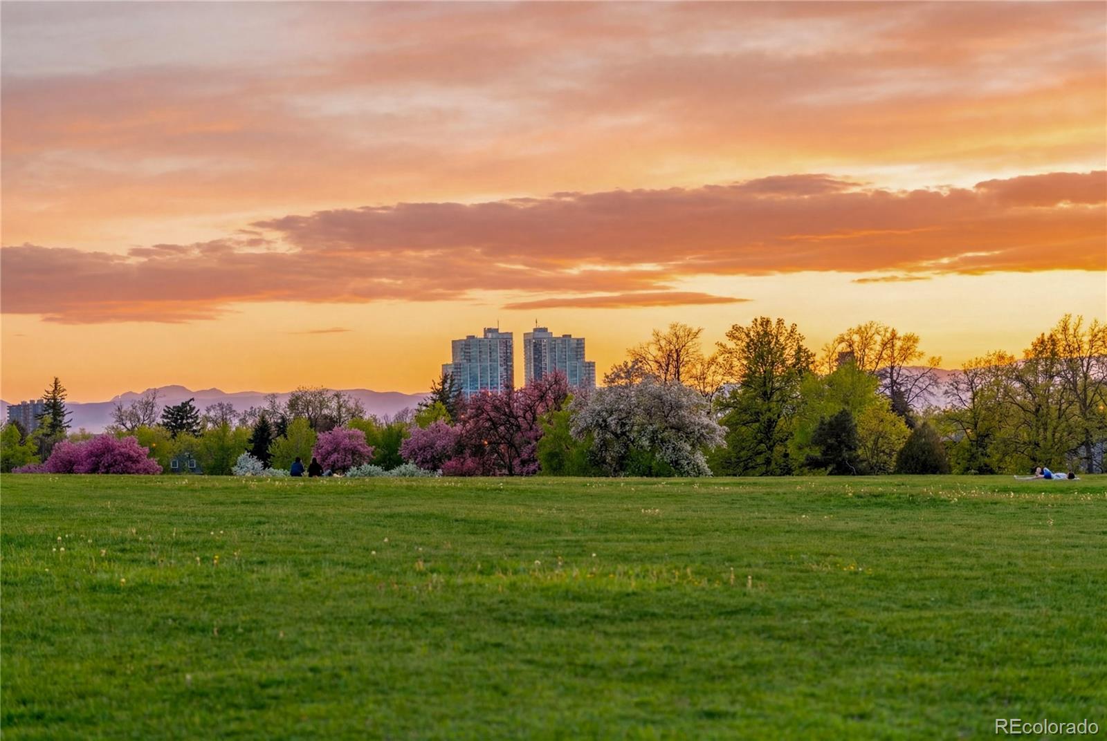 image of 1243 Vine St, Denver, CO 80206