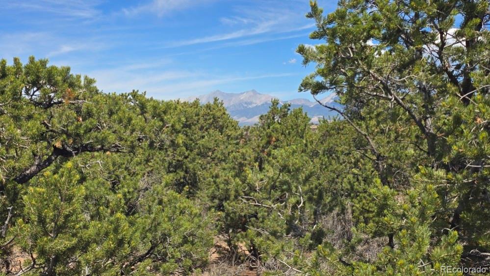 Photo 4 of Land for sale at Lot 1862 Wilking Rd, Fort Garland, CO 81133 | MLS# 2266779 | Listing updated on 2026-09-01