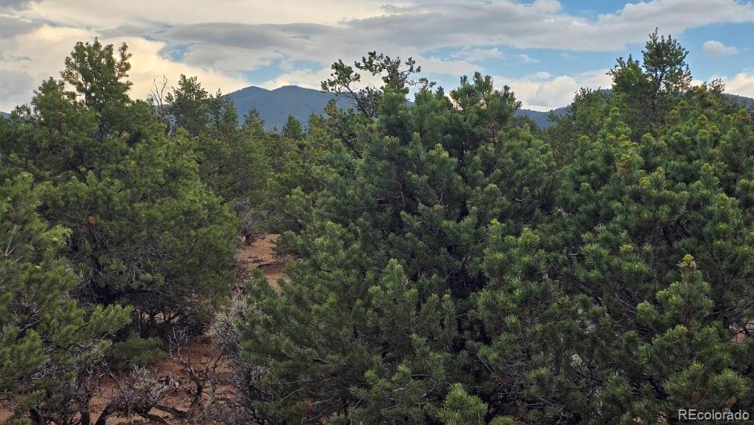 Photo 2 of Land for sale at Lot 1862 Wilking Rd, Fort Garland, CO 81133 | MLS# 2266779 | Listing updated on 2026-09-01