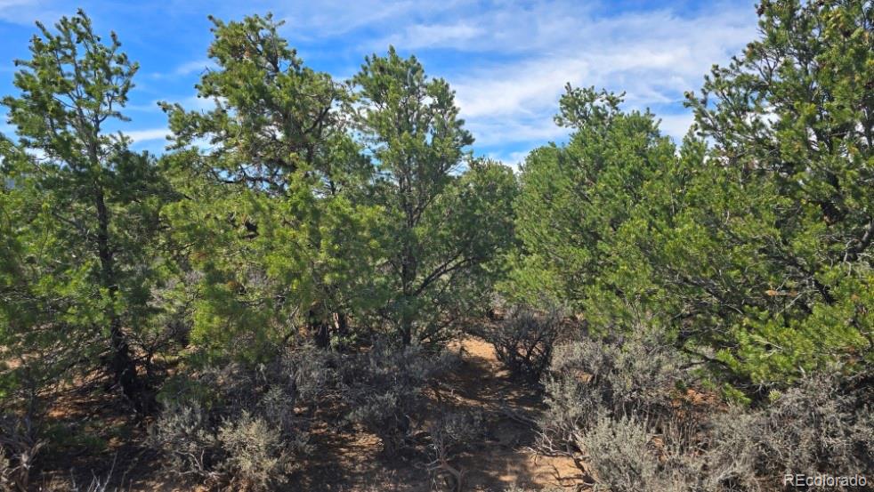 Photo 3 of Land for sale at Lot 1862 Wilking Rd, Fort Garland, CO 81133 | MLS# 2266779 | Listing updated on 2026-09-01