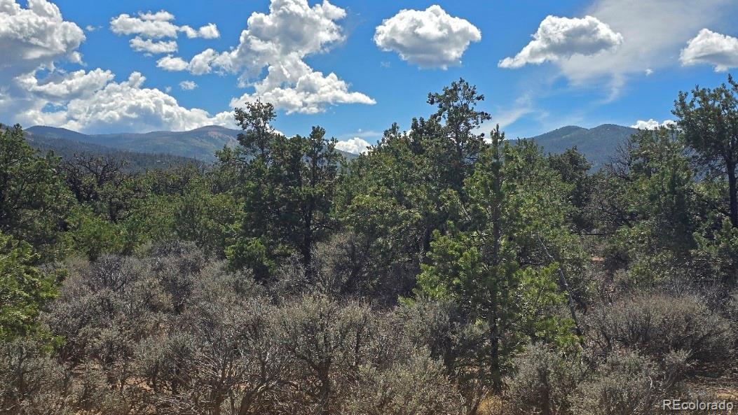 Photo 5 of Land for sale at Lot 1862 Wilking Rd, Fort Garland, CO 81133 | MLS# 2266779 | Listing updated on 2026-09-01