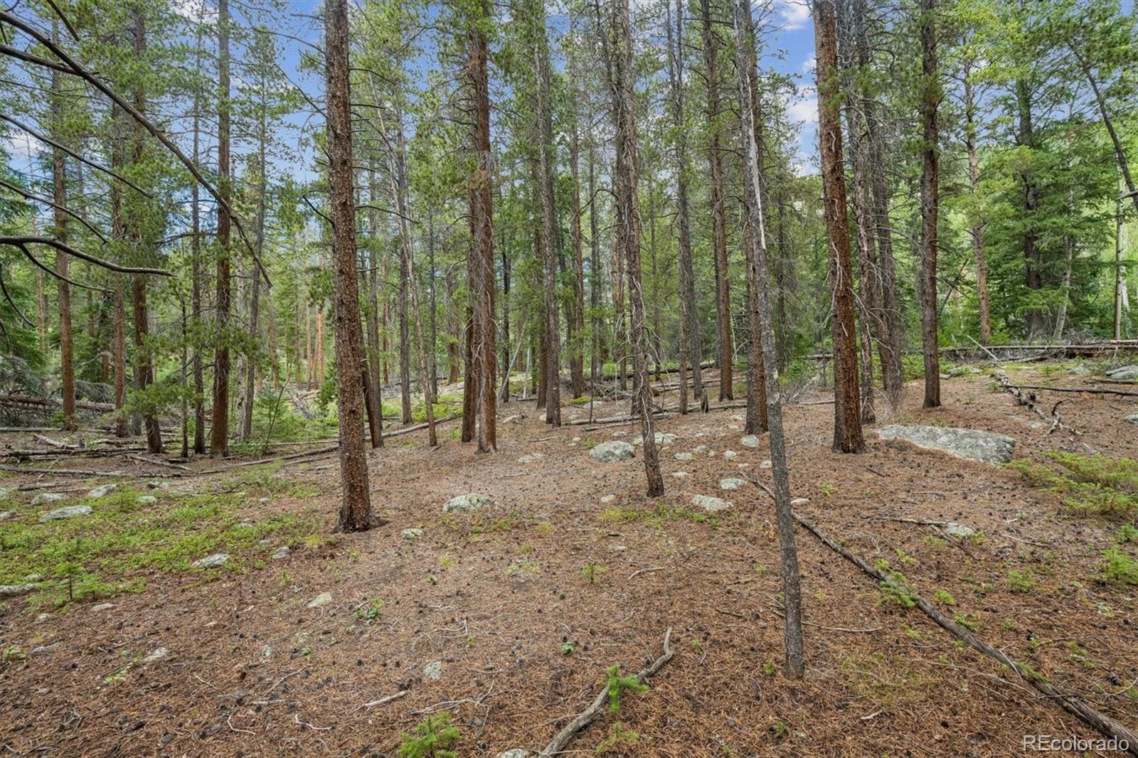 4th image of 001 Fall River Rd, Idaho Springs, CO 80452 | MLS# 3566656