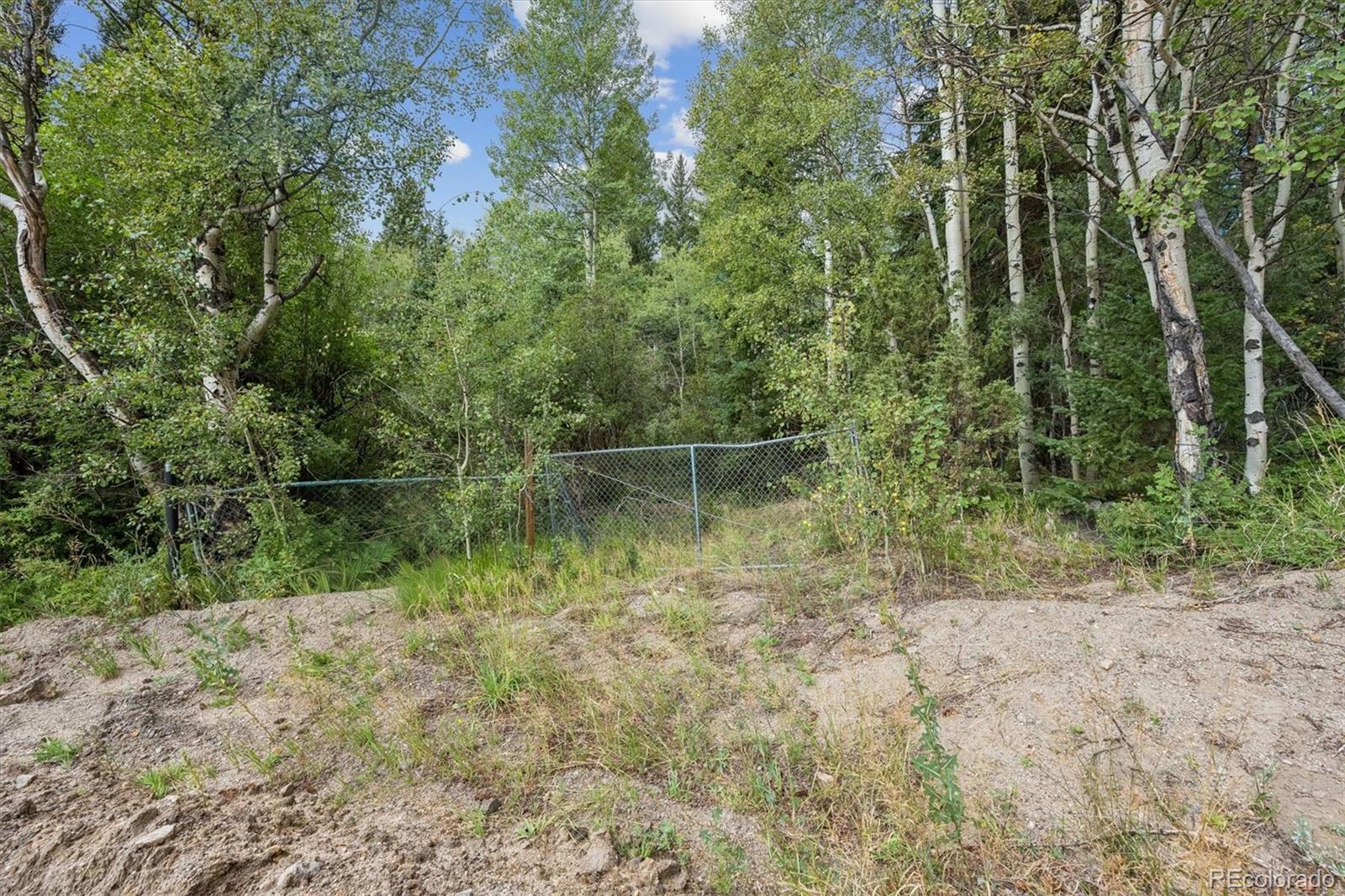 5th image of 001 Fall River Rd, Idaho Springs, CO 80452 | MLS# 3566656
