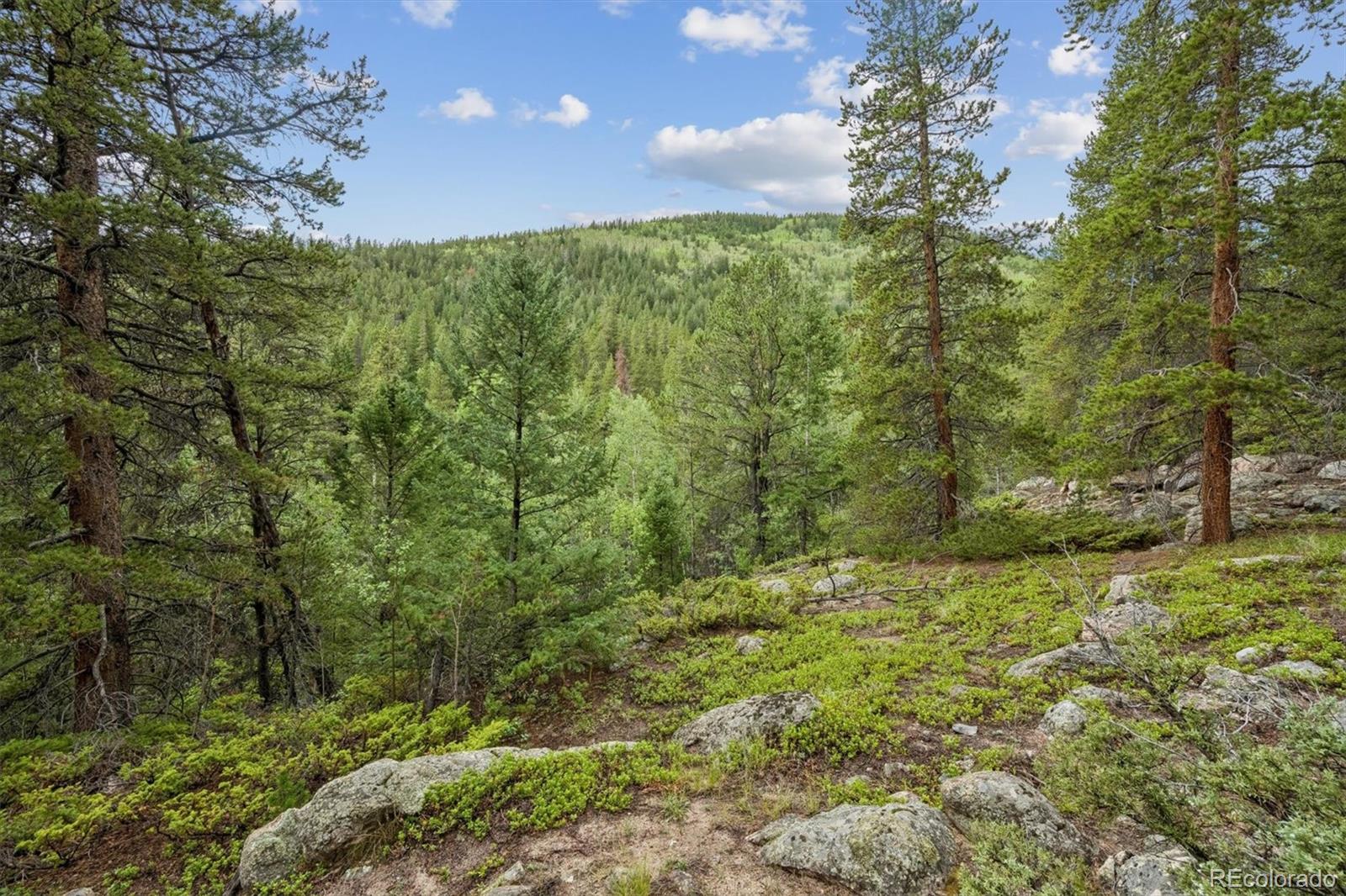 1st image of 001 Fall River Rd, Idaho Springs, CO 80452 | MLS# 3566656