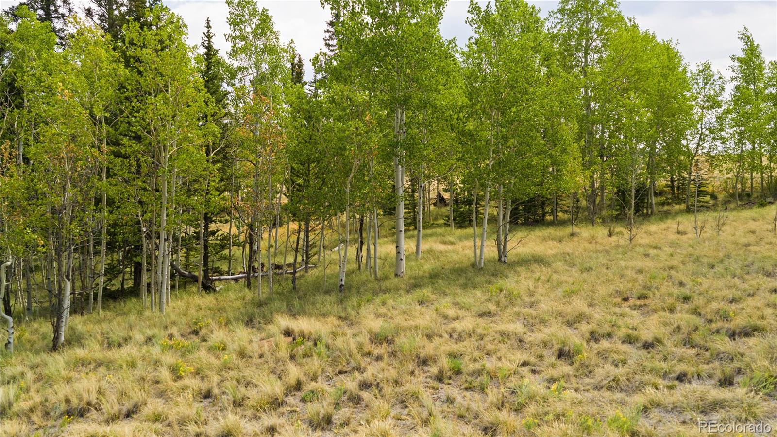 Photo 3 of Land for sale at 540 Turk Pony Way, Como, CO 80432 | MLS# 8123844 | Listing updated on 2026-09-01