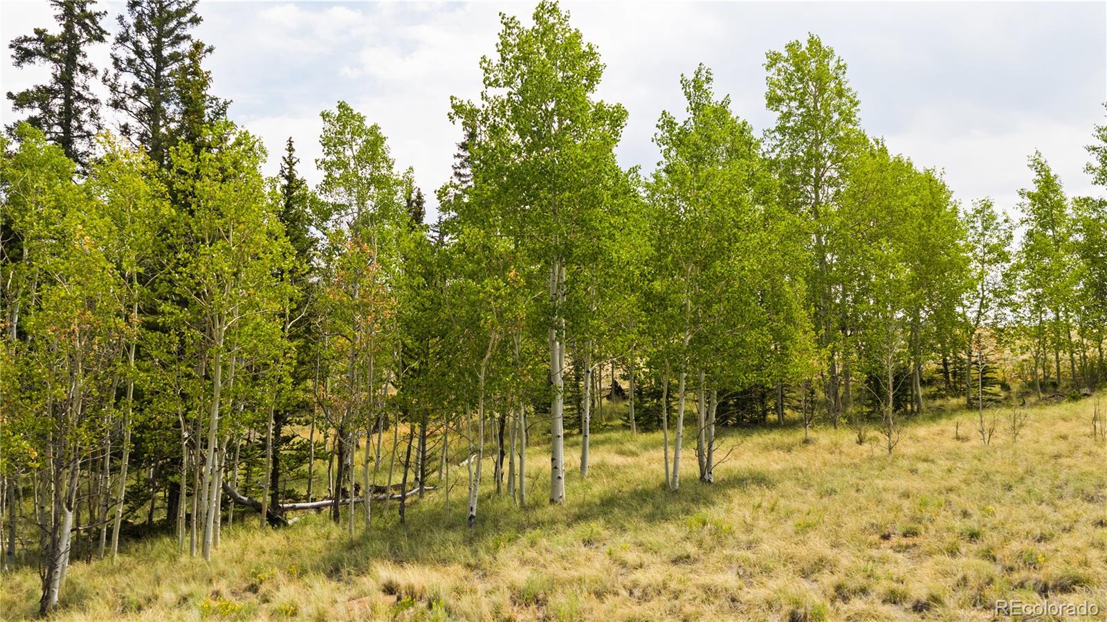 Photo 4 of Land for sale at 540 Turk Pony Way, Como, CO 80432 | MLS# 8123844 | Listing updated on 2026-09-01