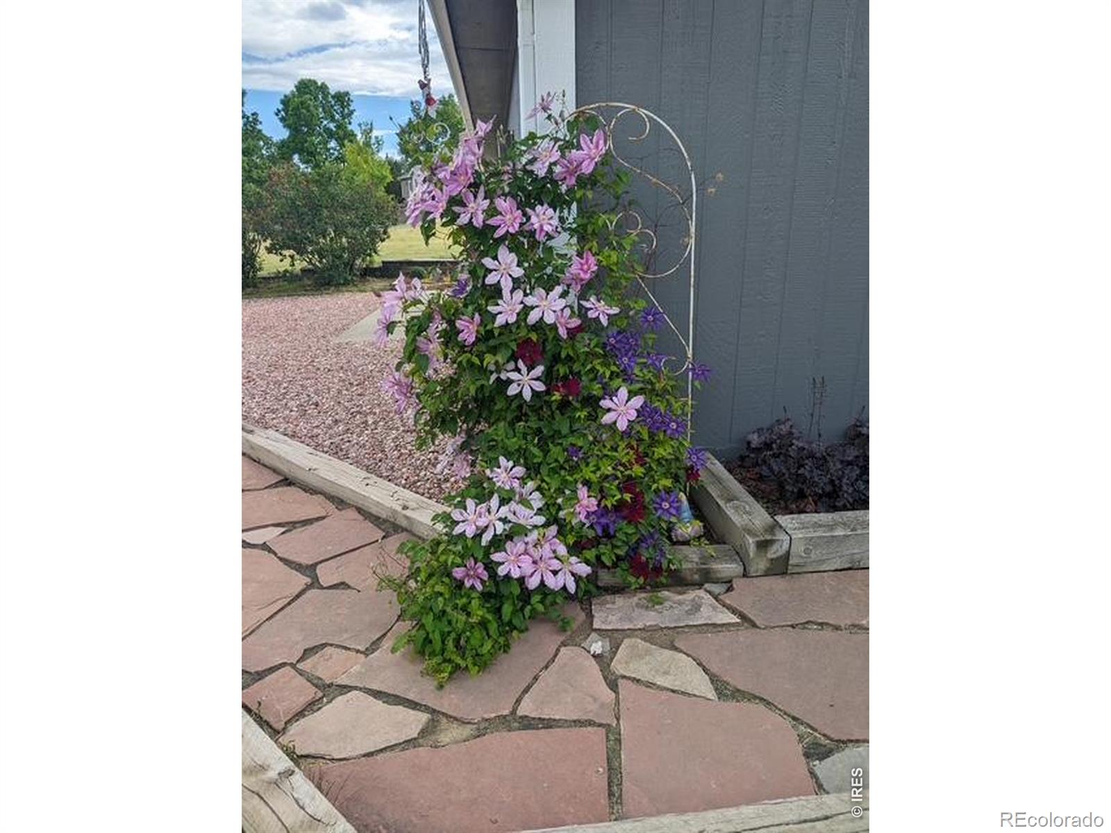45th image of 20649 Staghorn Ct, Johnstown, CO 80534 | MLS# IR1067214