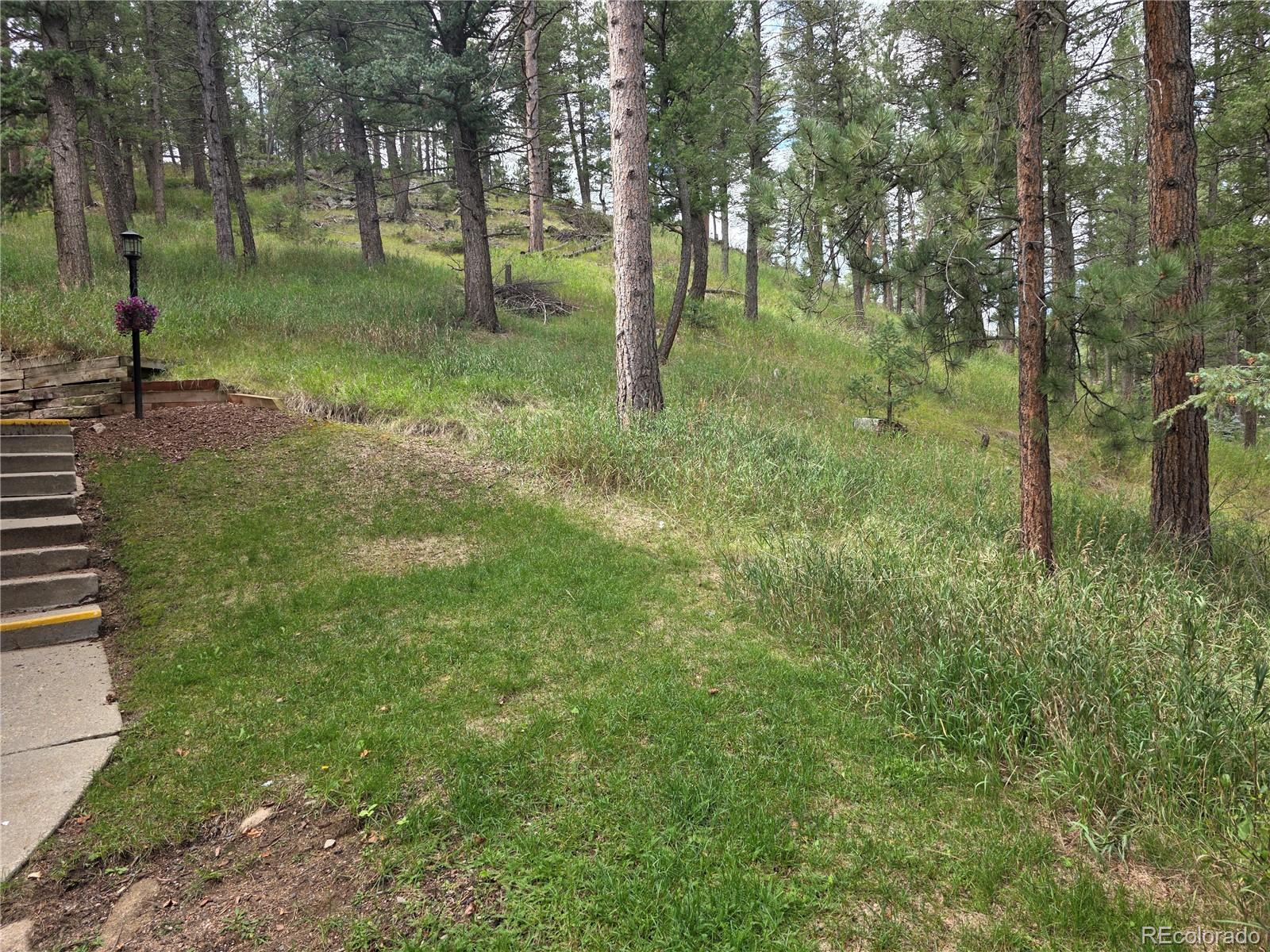 19th image of 4897 Silver Spruce Ln, Evergreen, CO 80439 | MLS# 5412829