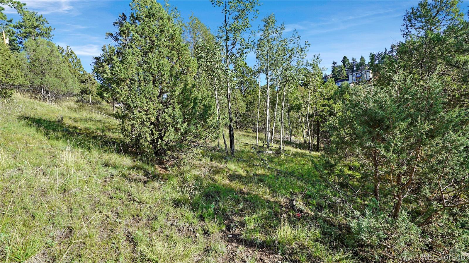 Photo 2 of Land for sale at Bob Cat Trl, Bailey, CO 80421 | MLS# 2753141 | Listing updated on 2026-09-01