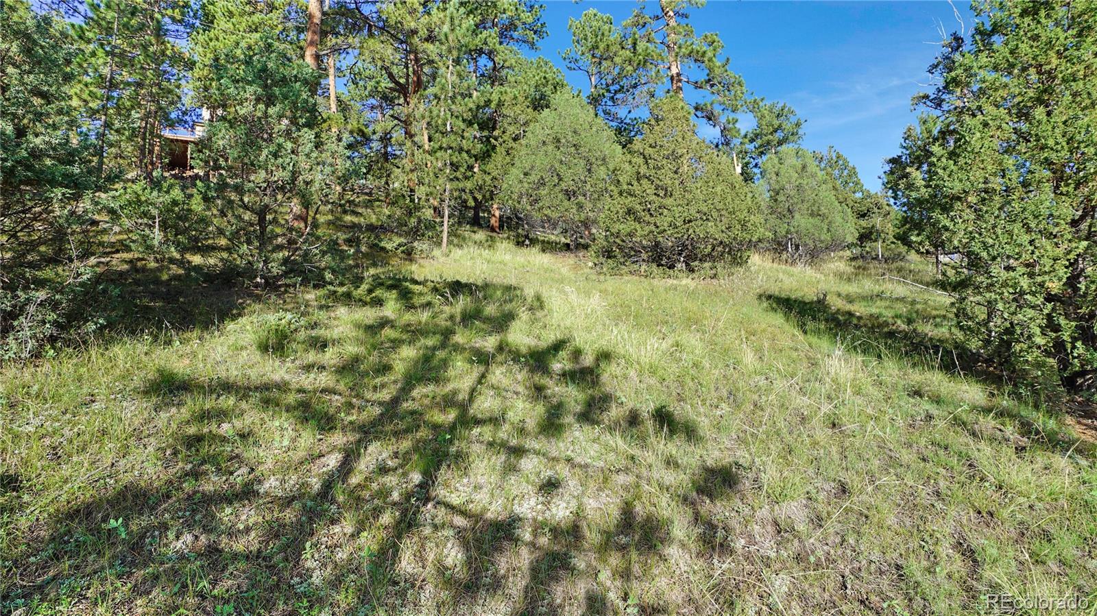 Photo 1 of Land for sale at Bob Cat Trl, Bailey, CO 80421 | MLS# 2753141 | Listing updated on 2026-09-01