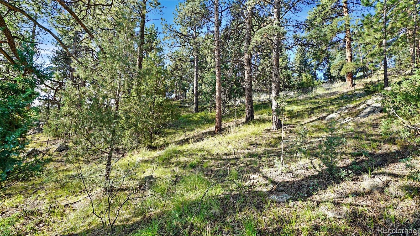 Photo 3 of Land for sale at Bob Cat Trl, Bailey, CO 80421 | MLS# 2753141 | Listing updated on 2026-09-01