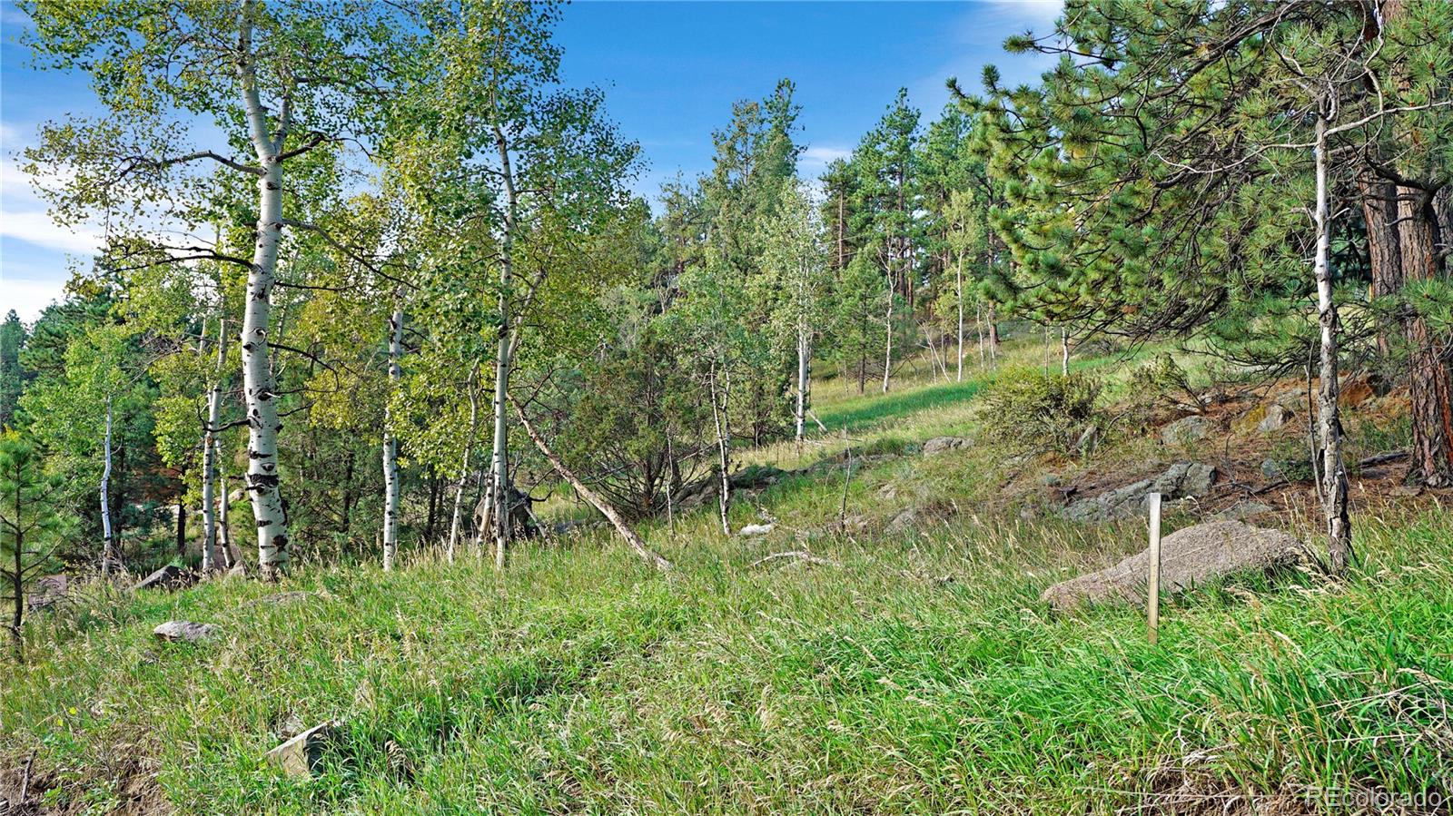 Photo 7 of Land for sale at Bob Cat Trl, Bailey, CO 80421 | MLS# 2753141 | Listing updated on 2026-09-01