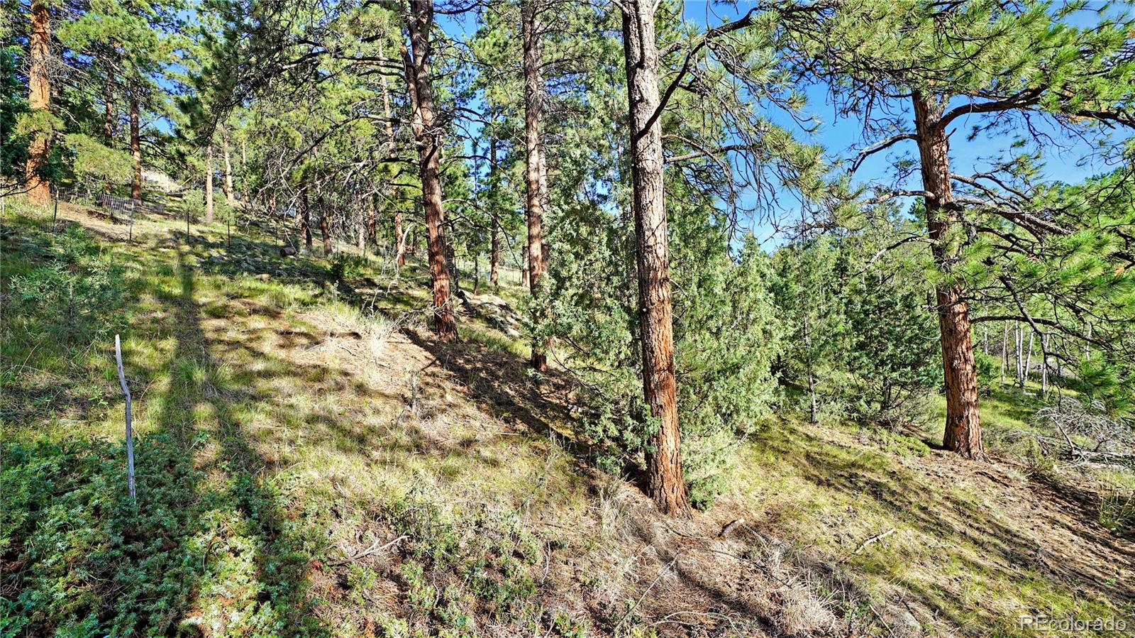 Photo 5 of Land for sale at Bob Cat Trl, Bailey, CO 80421 | MLS# 2753141 | Listing updated on 2026-09-01