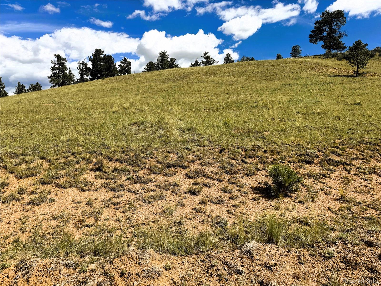 Photo 4 of Land for sale at 2669 Settele Dr, Hartsel, CO 80449 | MLS# 6576129 | Listing updated on 2026-09-02