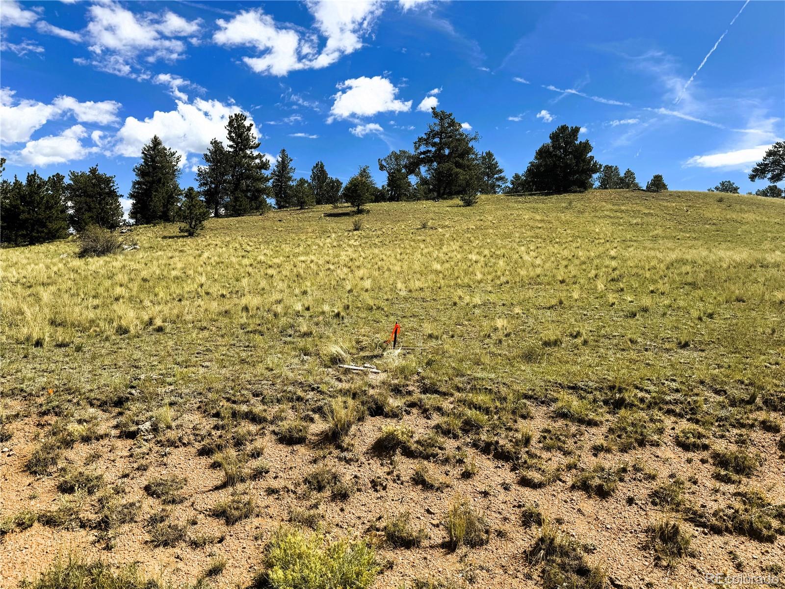 Photo 2 of Land for sale at 2669 Settele Dr, Hartsel, CO 80449 | MLS# 6576129 | Listing updated on 2026-09-02
