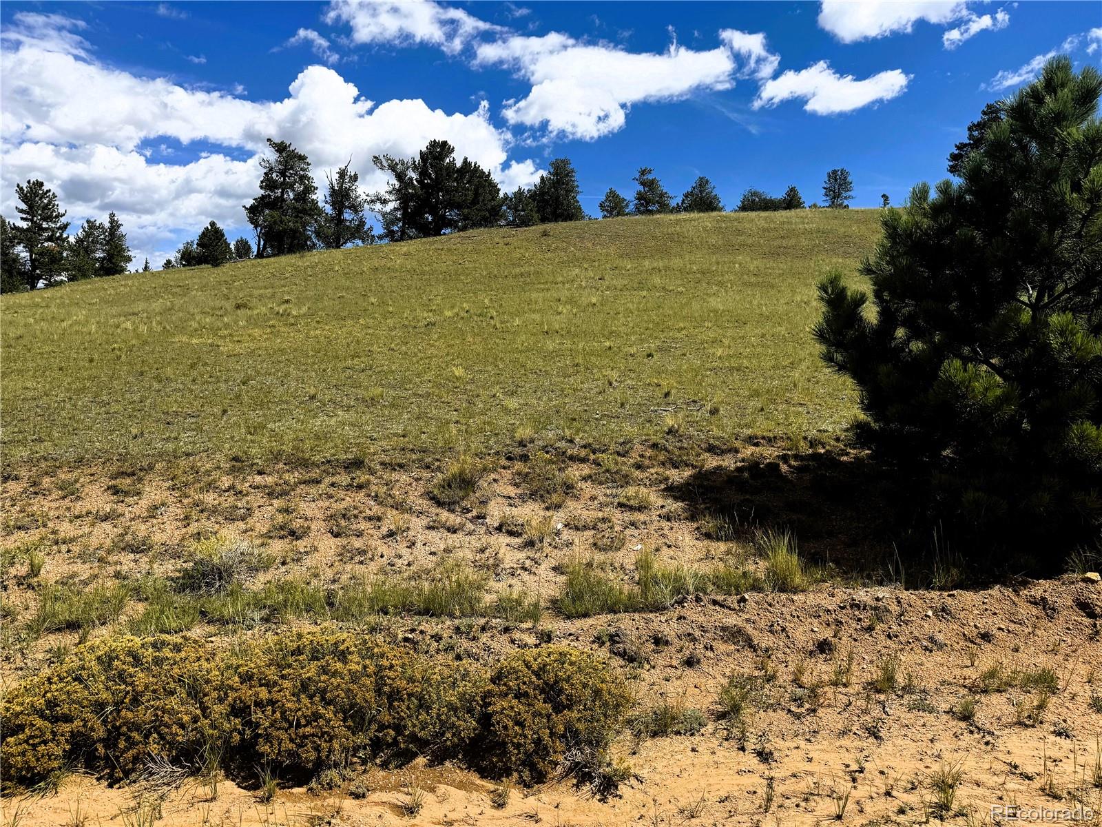 Photo 5 of Land for sale at 2669 Settele Dr, Hartsel, CO 80449 | MLS# 6576129 | Listing updated on 2026-09-02