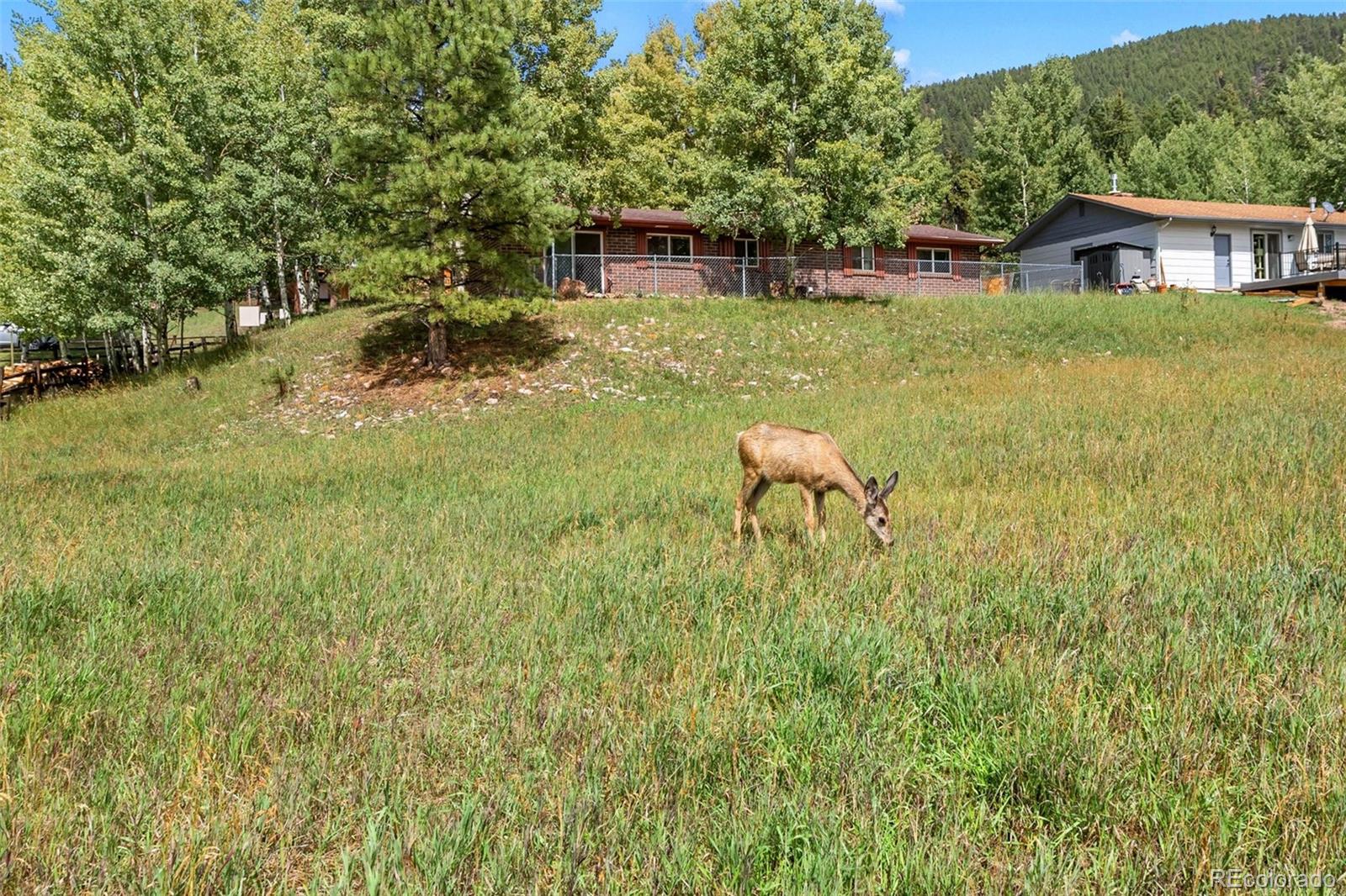 3rd image of 1035 Park View, Woodland Park, CO 80863 | MLS# 5315673