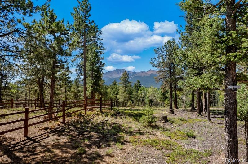 5th image of 9 Arapahoe St, Woodland Park, CO 80863 | MLS# 9271394