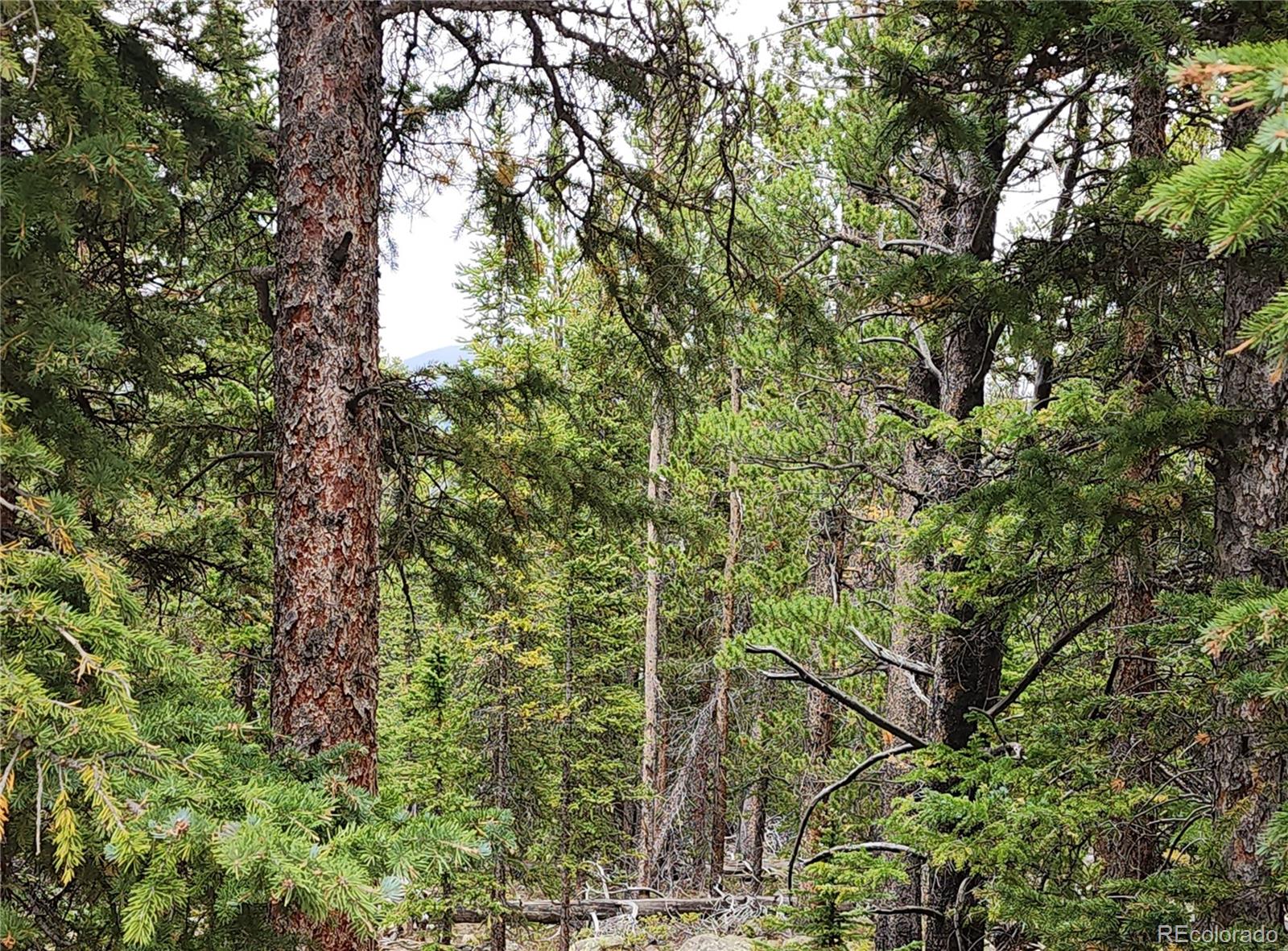 Photo 4 of Land for sale at 806 Bobcat Ln, Fairplay, CO 80440 | MLS# 7347790 | Listing updated on 2026-09-01