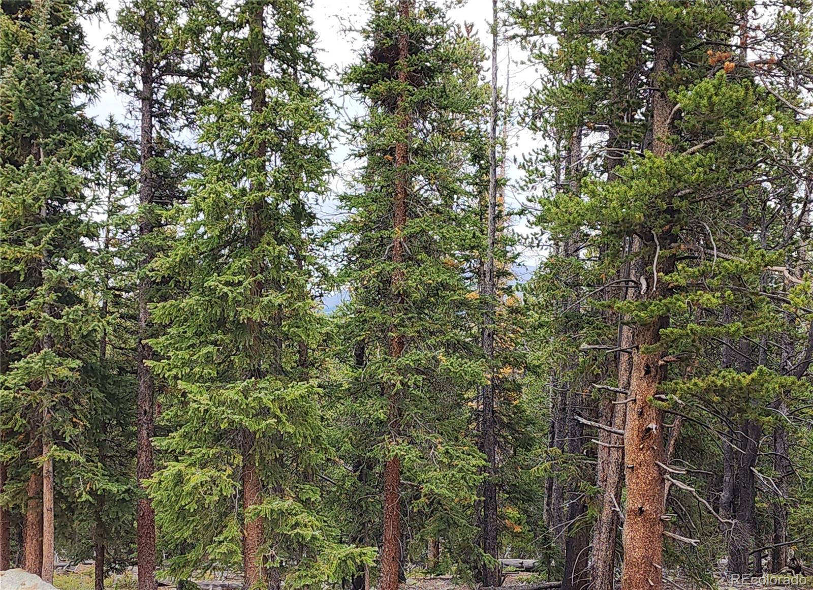 Photo 3 of Land for sale at 806 Bobcat Ln, Fairplay, CO 80440 | MLS# 7347790 | Listing updated on 2026-09-01