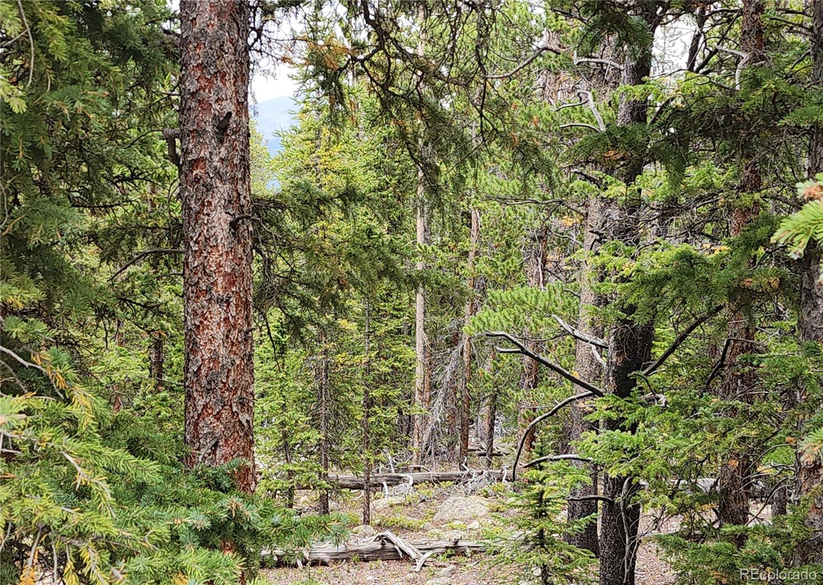 Photo 5 of Land for sale at 806 Bobcat Ln, Fairplay, CO 80440 | MLS# 7347790 | Listing updated on 2026-09-01