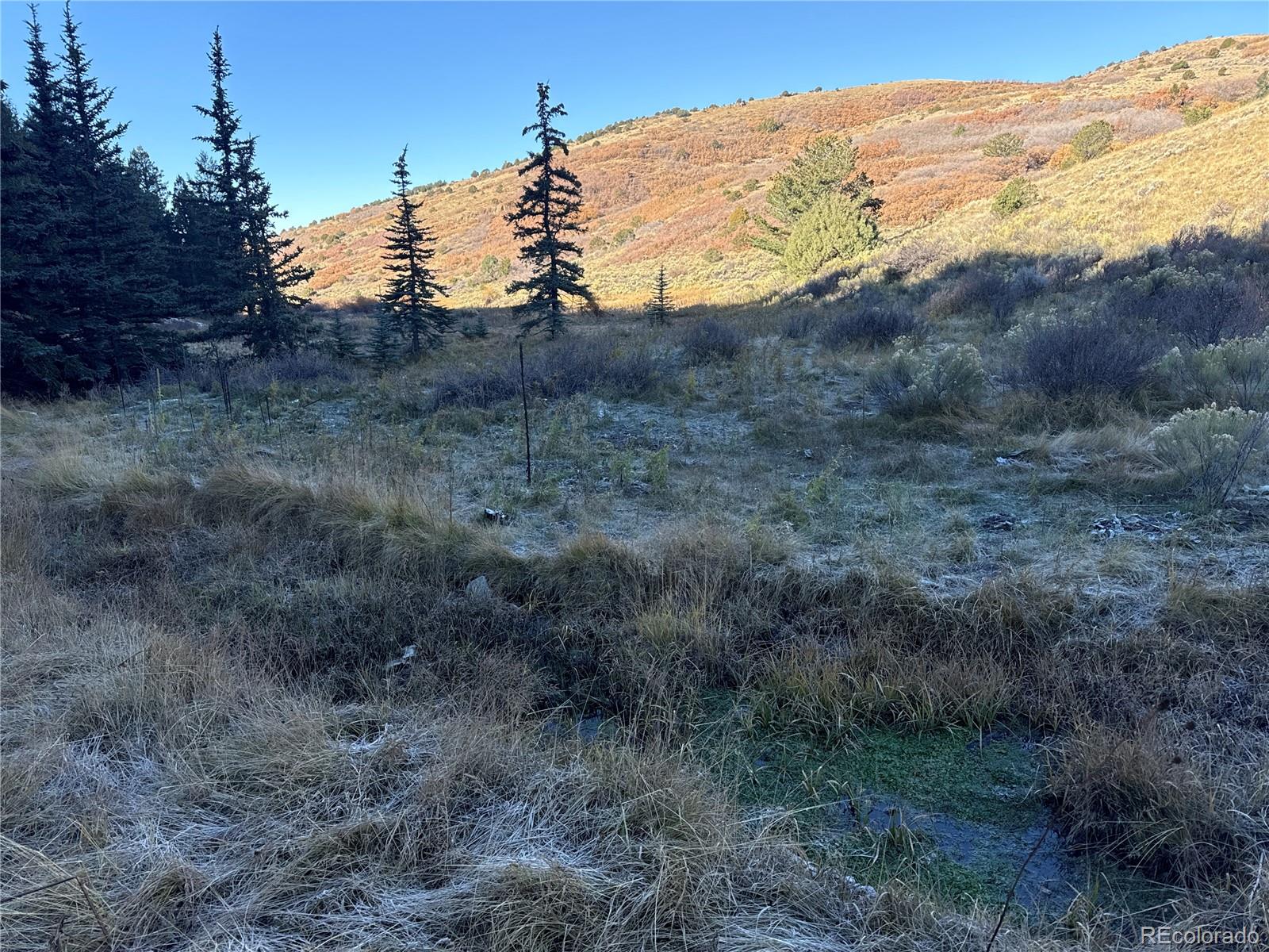 Photo 3 of Land for sale at 247 & 249 Boothby Ln, Fort Garland, CO 81133 | MLS# 6995262 | Listing updated on 2026-09-01