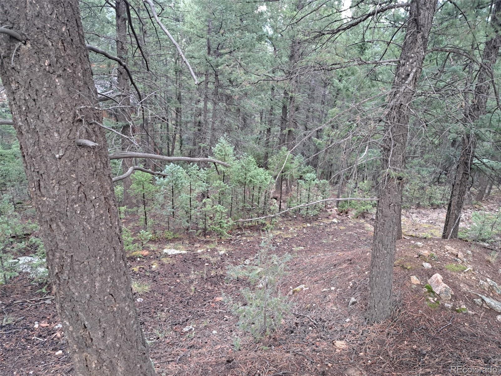 Photo 3 of Land for sale at 360 Hi Meadow Dr, Bailey, CO 80421 | MLS# 8103594 | Listing updated on 2026-09-01