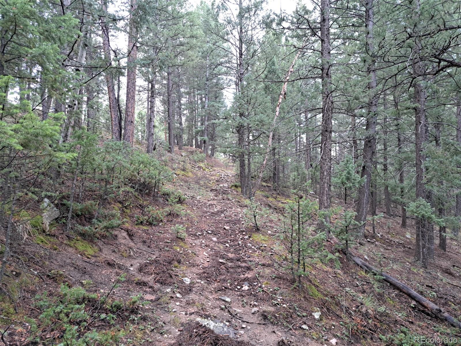 Photo 5 of Land for sale at 360 Hi Meadow Dr, Bailey, CO 80421 | MLS# 8103594 | Listing updated on 2026-09-01