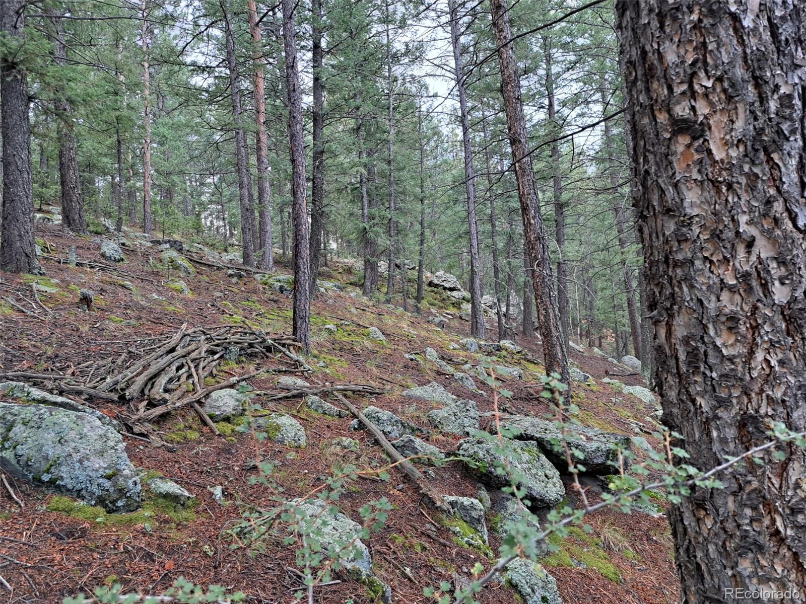 Photo 4 of Land for sale at 360 Hi Meadow Dr, Bailey, CO 80421 | MLS# 8103594 | Listing updated on 2026-09-01