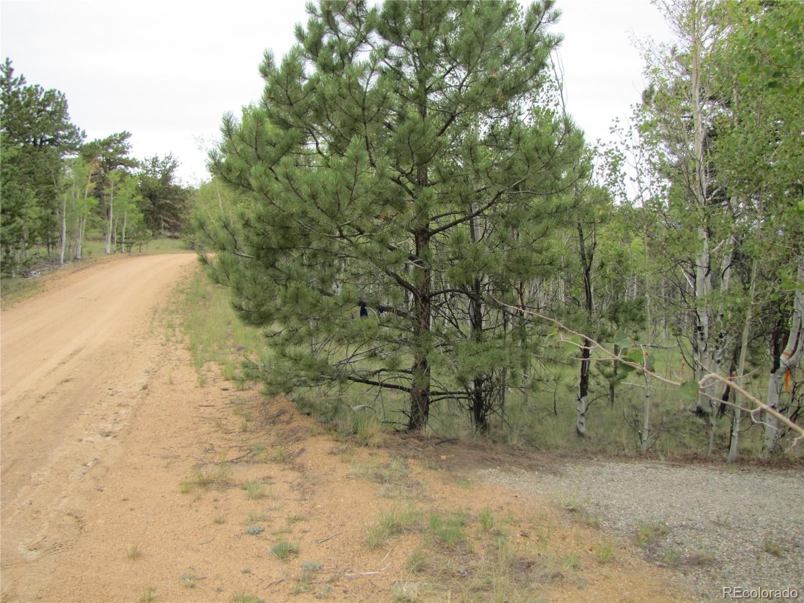 Photo 3 of Land for sale at 657 Pine Ln, Hartsel, CO 80449 | MLS# 9569913 | Listing updated on 2026-09-02