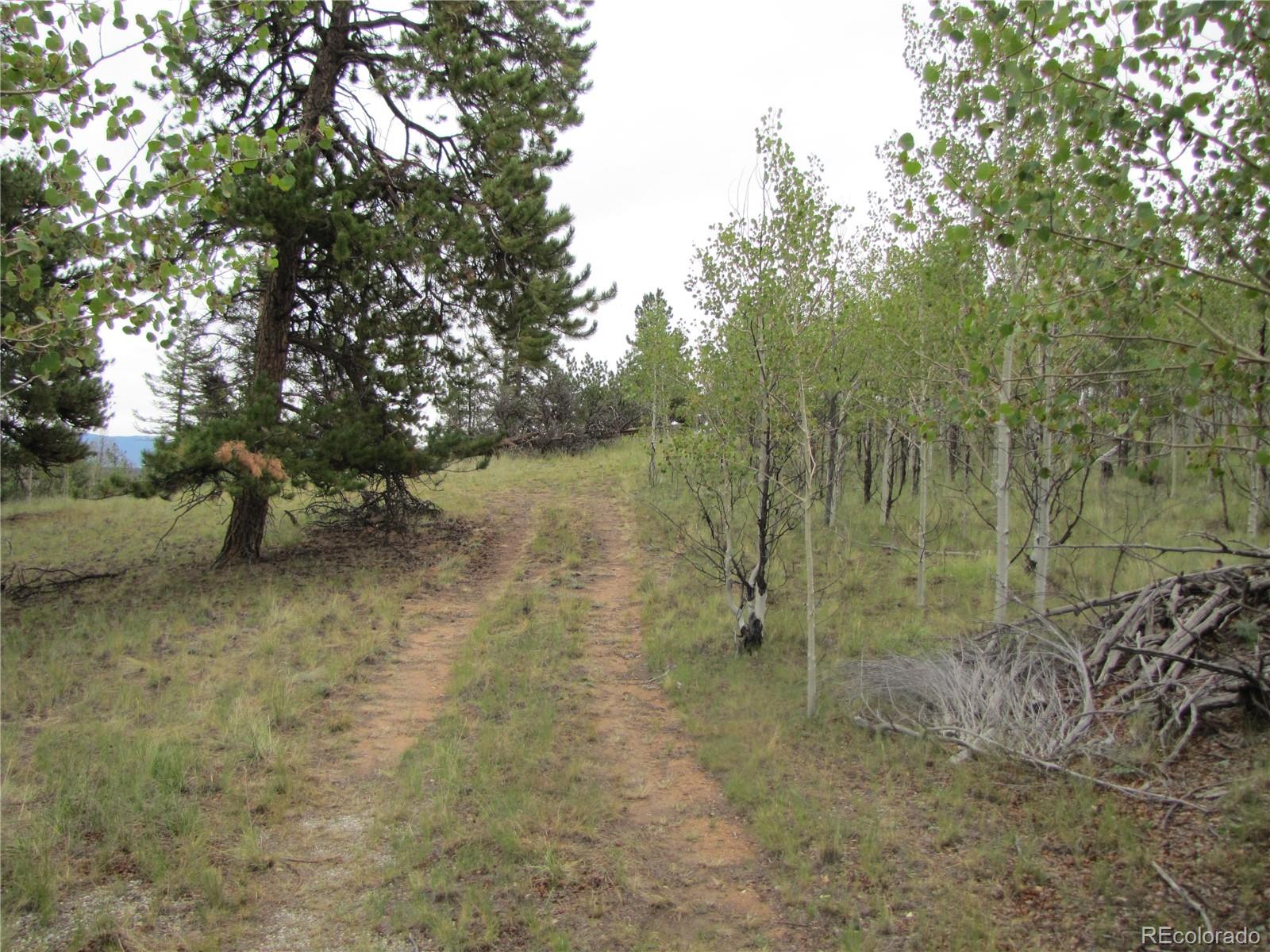 Photo 4 of Land for sale at 657 Pine Ln, Hartsel, CO 80449 | MLS# 9569913 | Listing updated on 2026-09-02