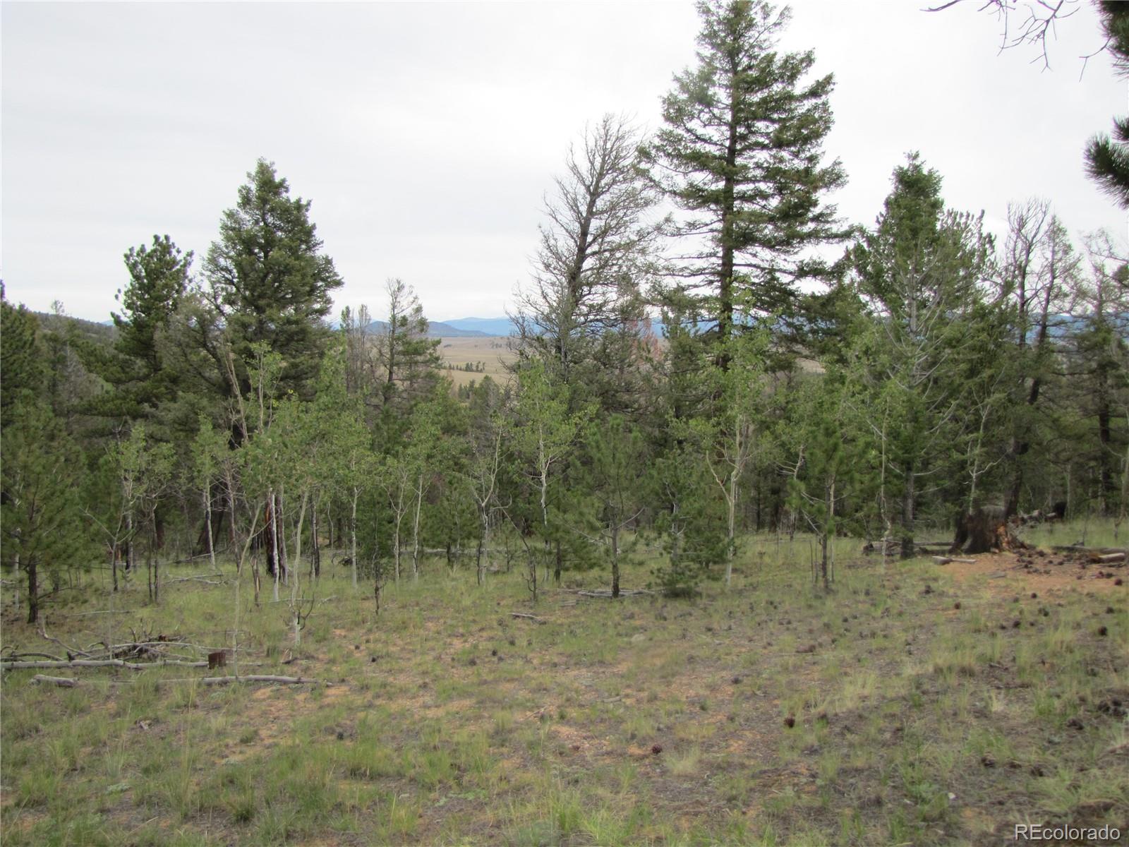 Photo 5 of Land for sale at 657 Pine Ln, Hartsel, CO 80449 | MLS# 9569913 | Listing updated on 2026-09-02