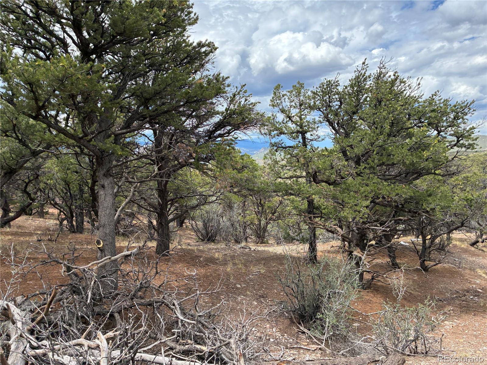 Photo 4 of Land for sale at Lot 7908 Blaine Rd, Fort Garland, CO 81133 | MLS# 8338333 | Listing updated on 2026-09-02