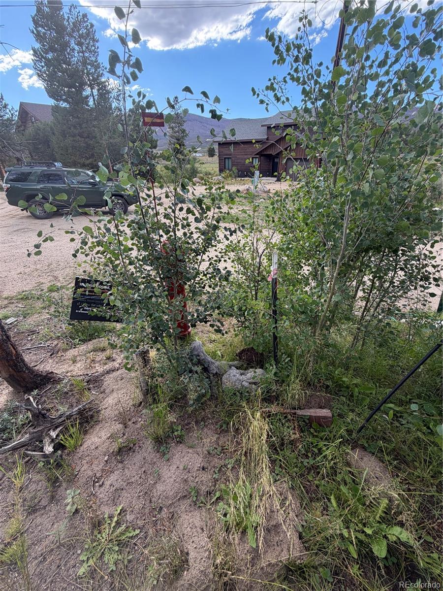 Photo 5 of Land for sale at 114 And 122 Gcr 4905, Grand Lake, CO 80447 | MLS# 2655951 | Listing updated on 2026-09-05