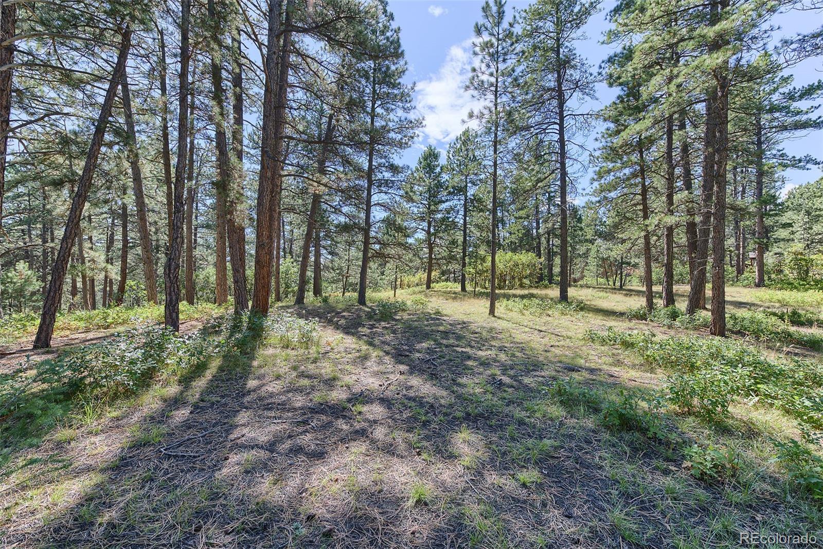 Homes for sale in Larkspur, CO | 7386 Poncho Cir, Larkspur, CO 80118 | MLS# 6236066