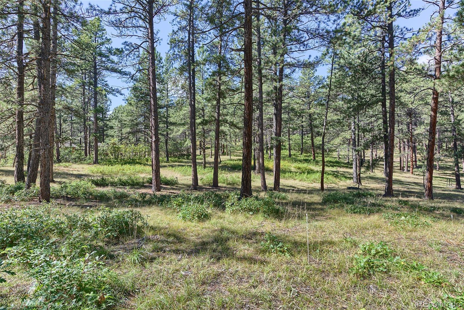 Homes for sale in Larkspur, CO | 7386 Poncho Cir, Larkspur, CO 80118 | MLS# 6236066