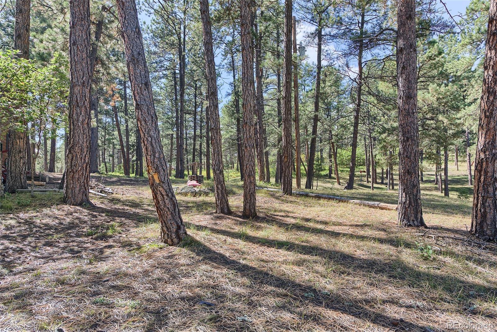 Homes for sale in Larkspur, CO | 7386 Poncho Cir, Larkspur, CO 80118 | MLS# 6236066