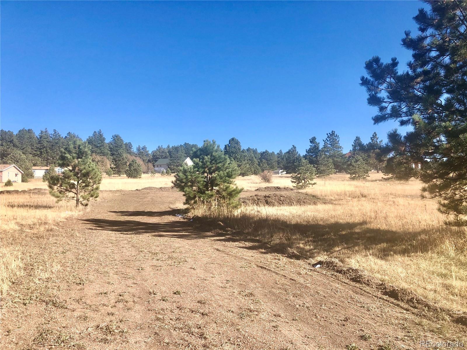 1st image of 412 Obsidian Dr, Florissant, CO 80816 | MLS# 8040521
