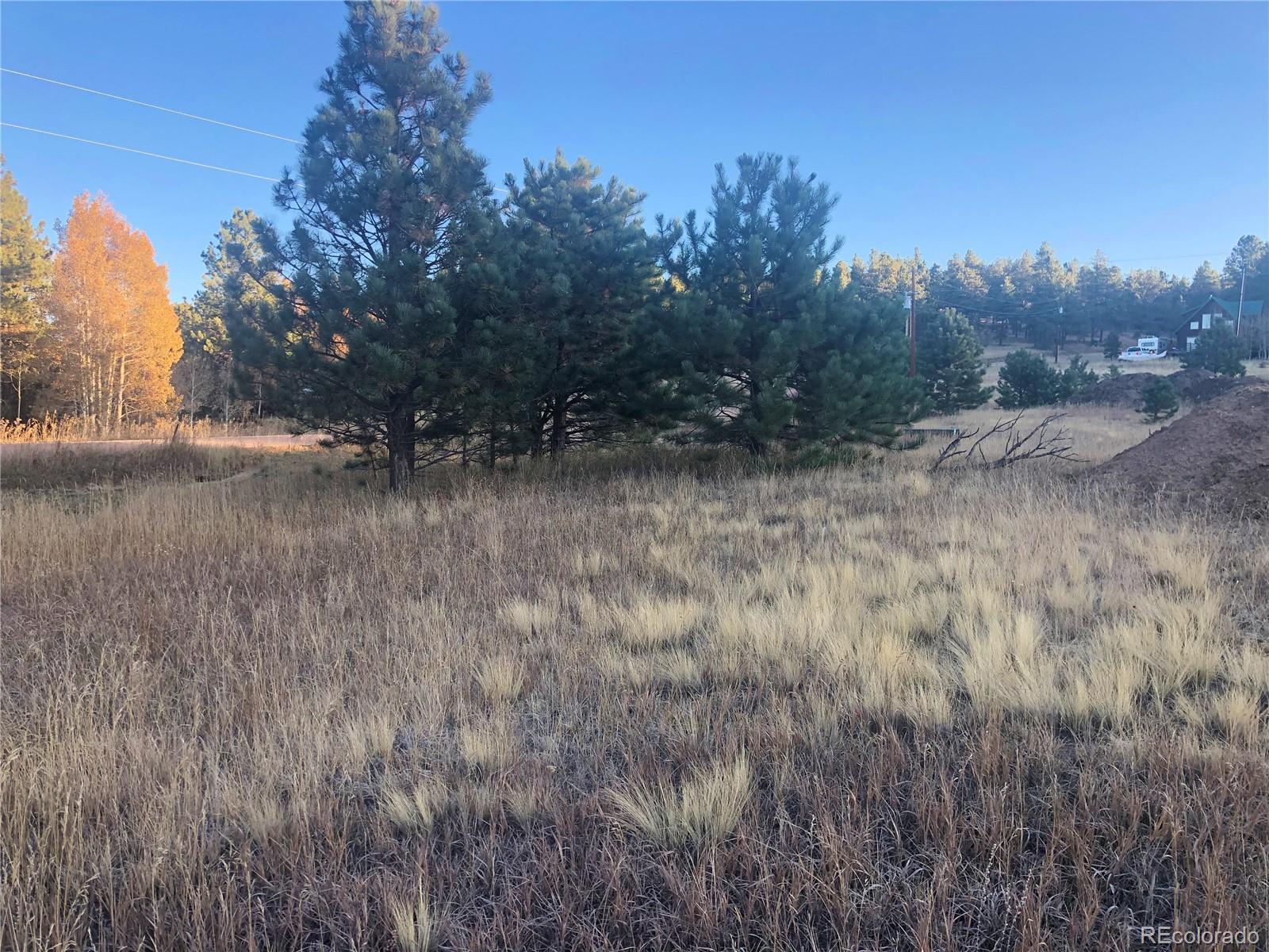 2nd image of 412 Obsidian Dr, Florissant, CO 80816 | MLS# 8040521