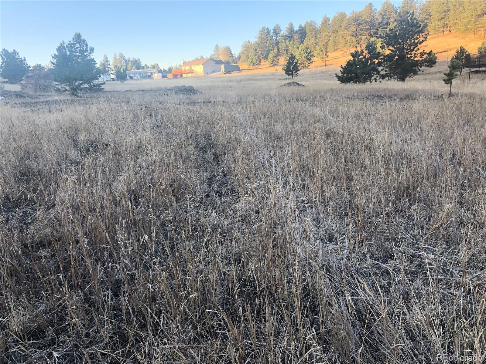4th image of 412 Obsidian Dr, Florissant, CO 80816 | MLS# 8040521