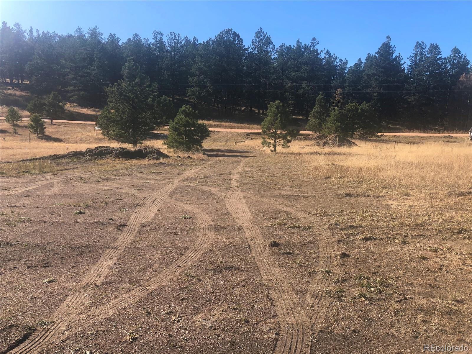 3rd image of 412 Obsidian Dr, Florissant, CO 80816 | MLS# 8040521